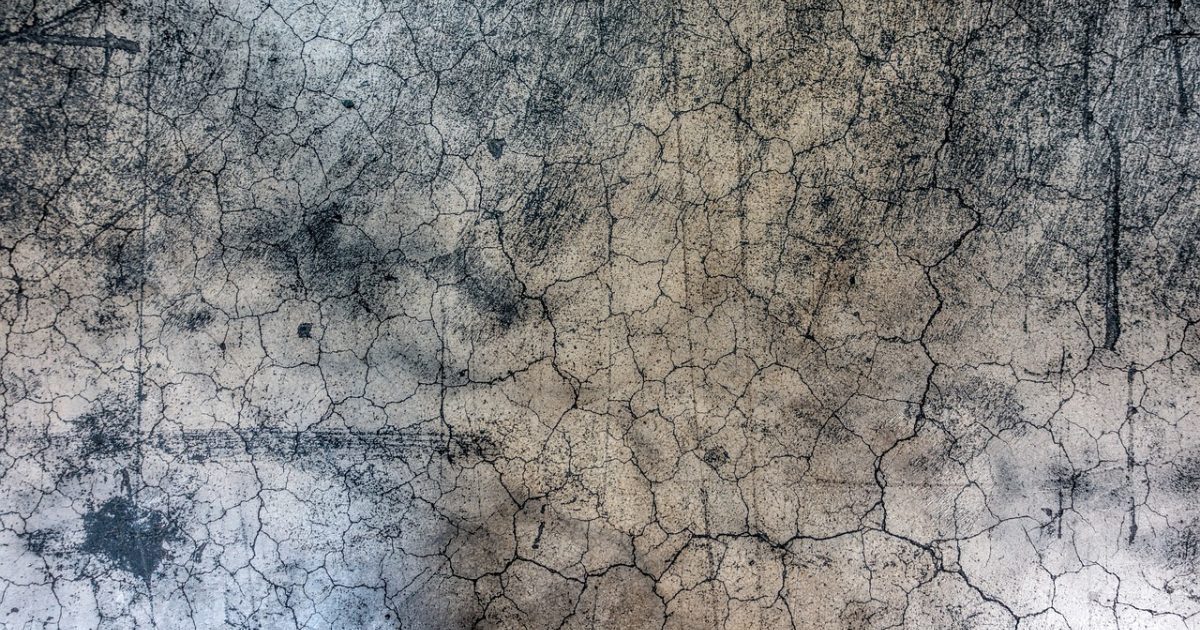 2026年09月04日 黄历 黄历通数据看板风格插画，暖色手绘桌面上摊开一本历书，旁边是标注着宜忌条目的卡片与薄荷绿进度条，窗外晨光斜照